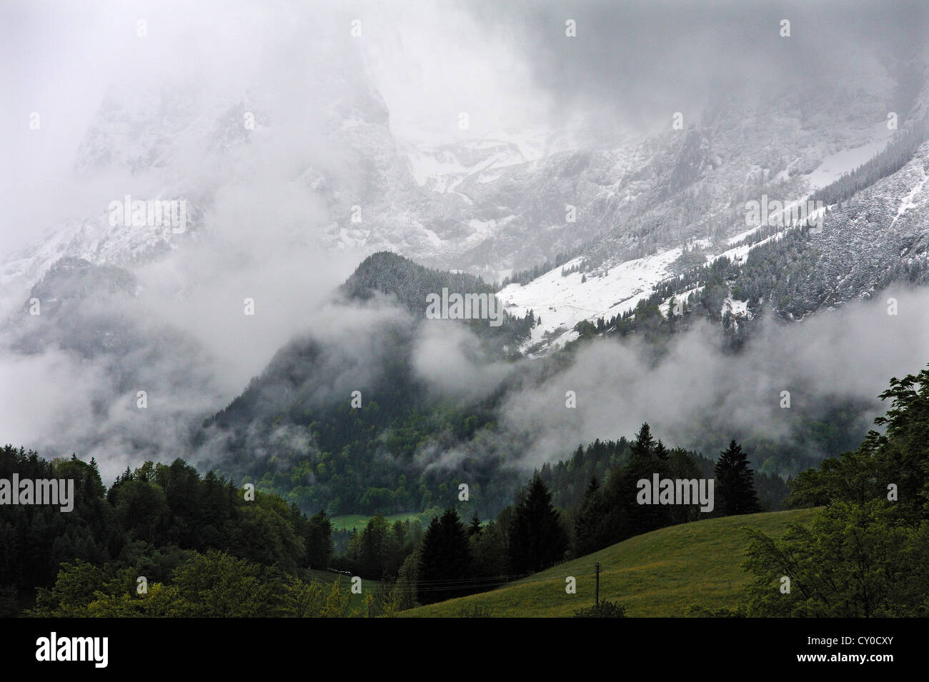 Neuschnee am verhüllten Mt Reiteralpe zu einer bewölkten Morgen, Ramsau, Berchtesgadener Land/Region, Oberbayern Stockfoto
