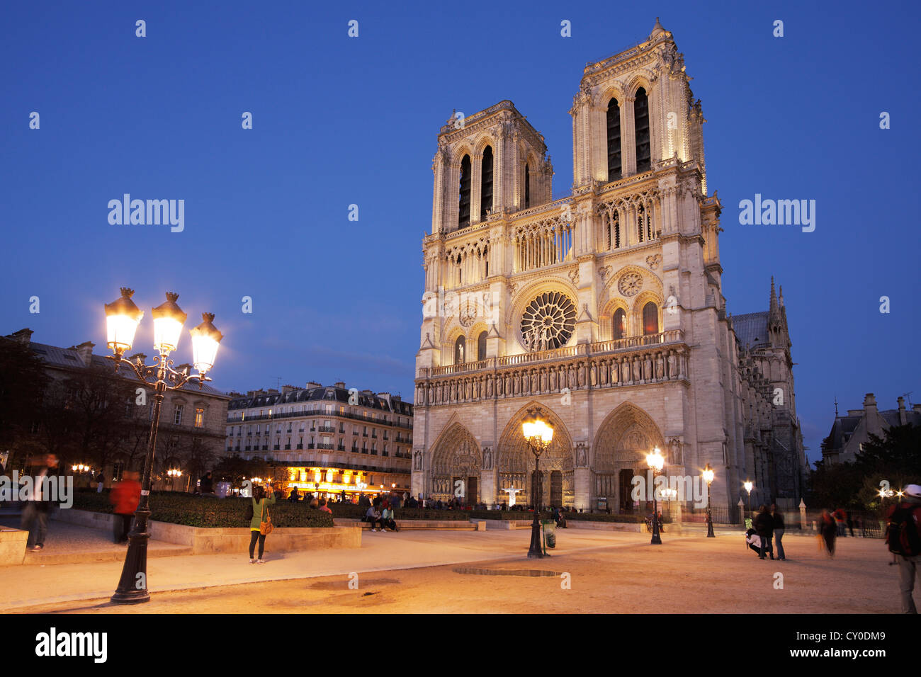Notre Dame de Paris in der Dämmerung; La Cathédrale Notre-Dame de Paris Stockfoto