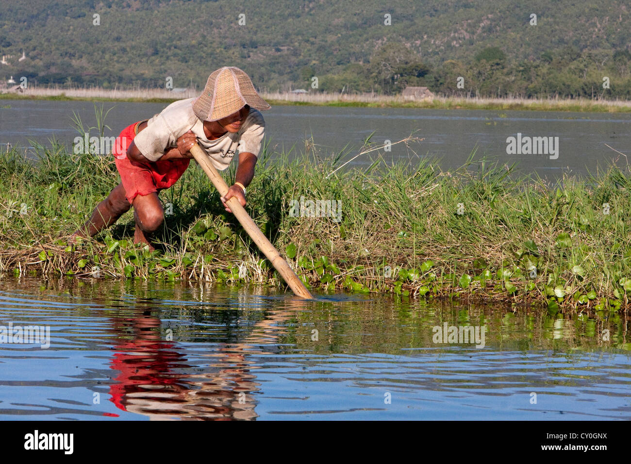 Myanmar, Burma. Inle-See, Shan-Staat. Burmesische Männer mit langen Stangen, eine schwimmende Insel für landwirtschaftliche Zwecke zu verlagern. Stockfoto