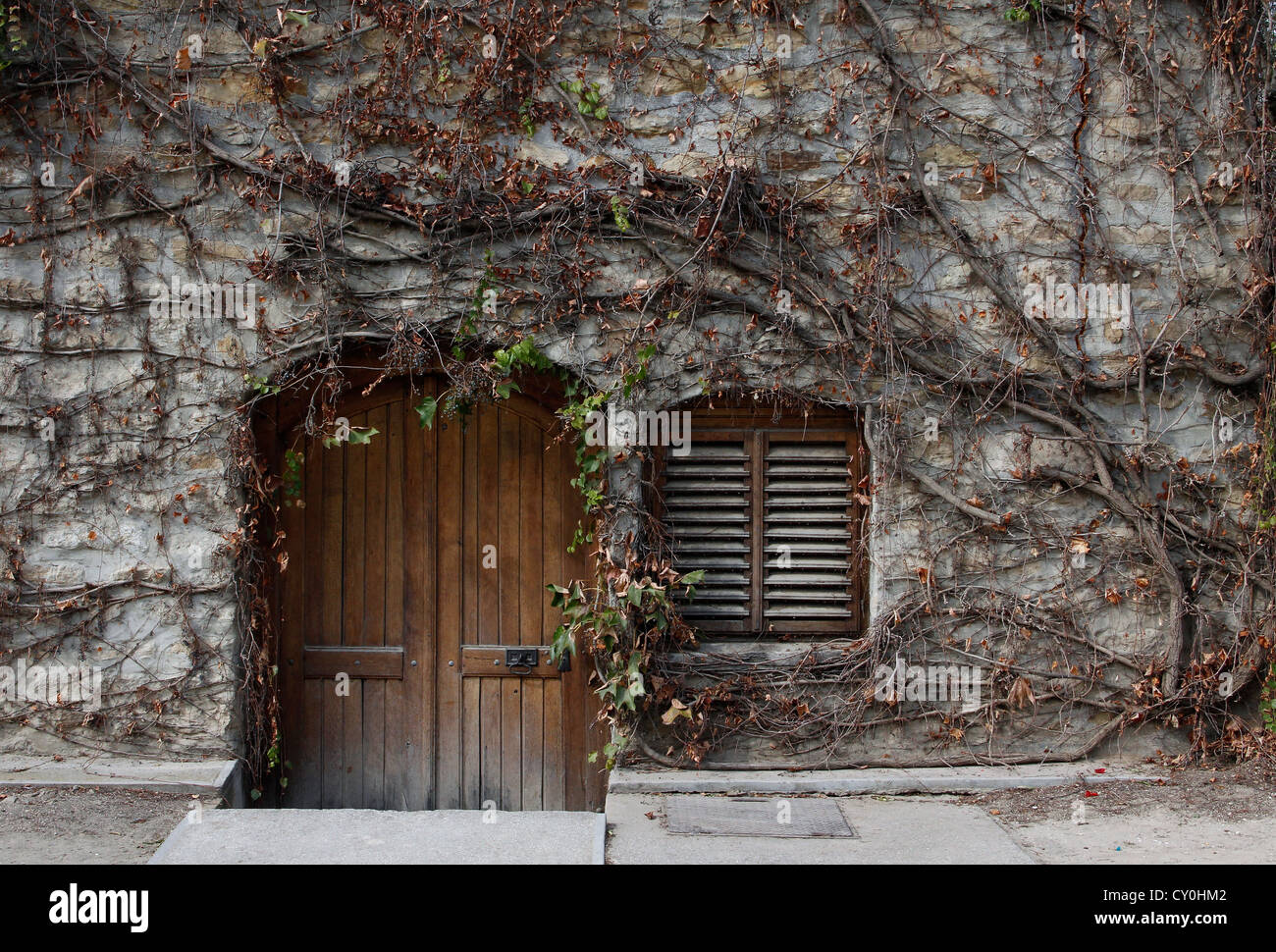 alte Weinkeller-Eingang Stockfoto