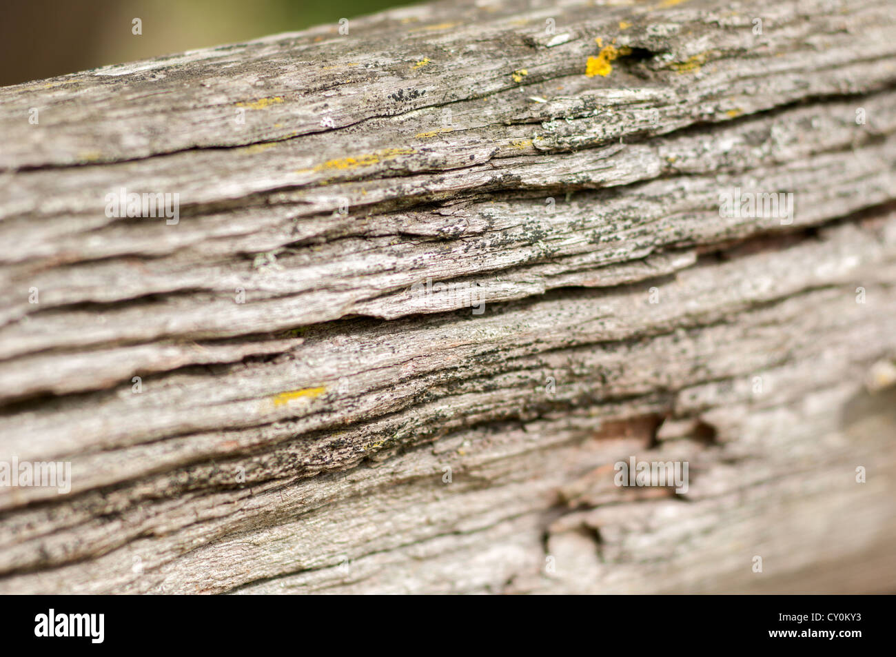 Nahaufnahme von Holz Textur Stockfoto