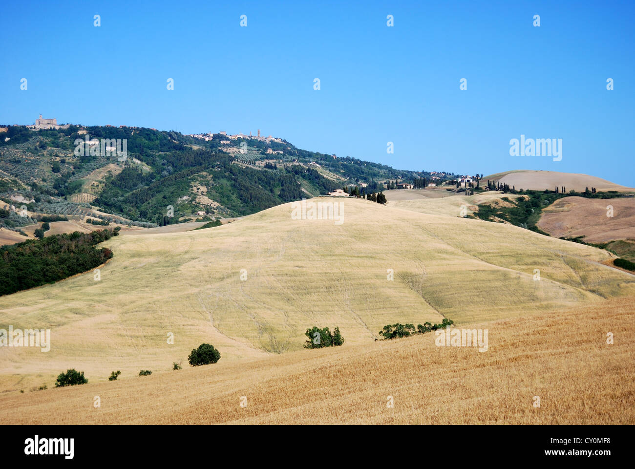 Südafrikanische Landschaft Stockfoto