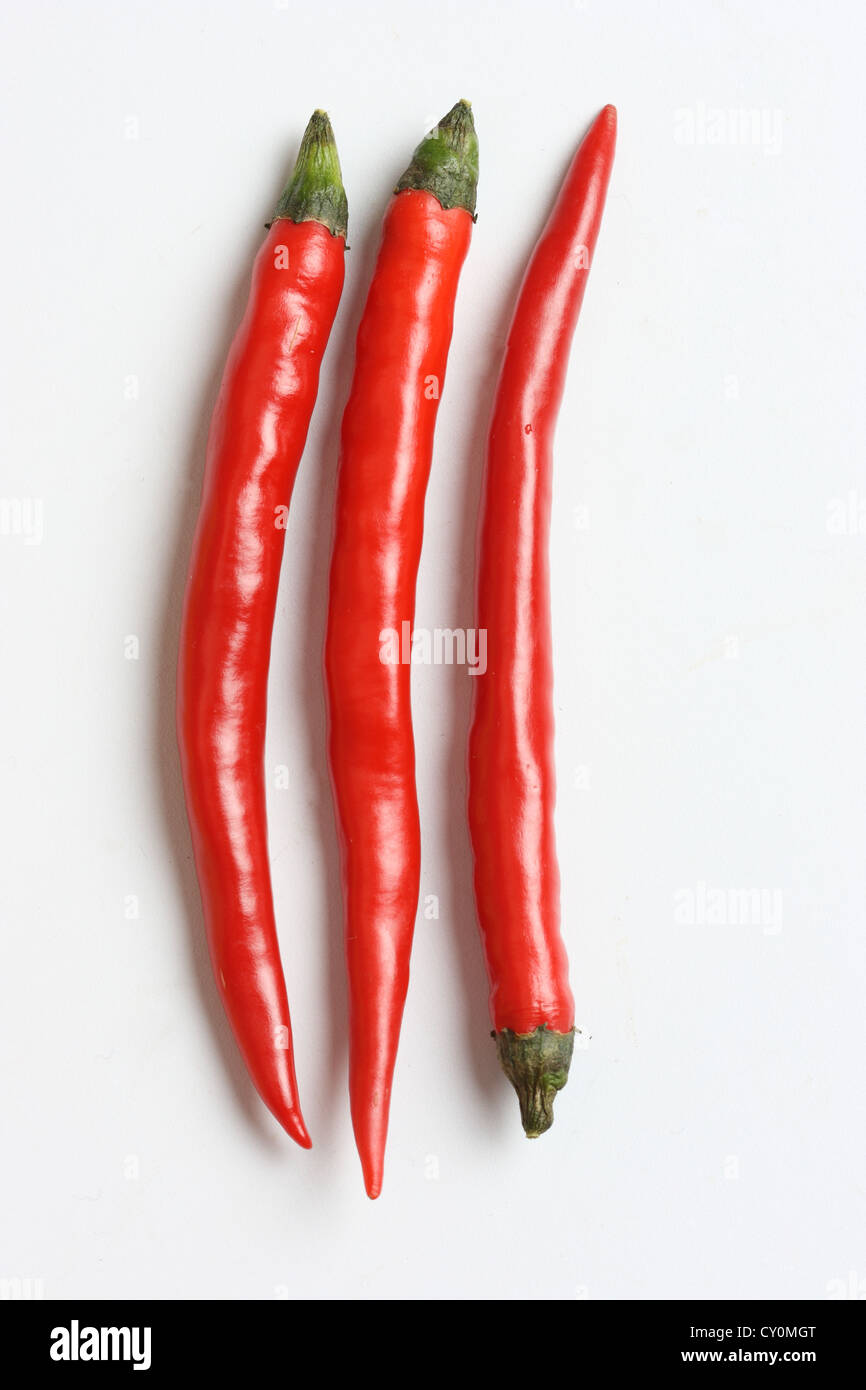 Red Chili-Pfeffer, Cayenne-Pfeffer auf weißem Hintergrund Stockfoto