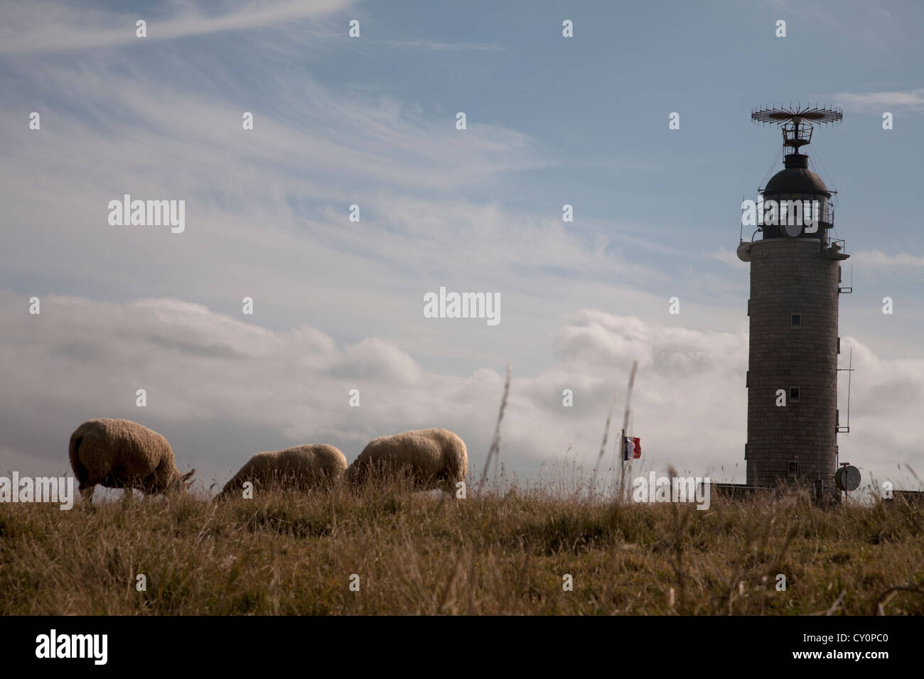 Cap Gris Nez Côte Opale Pas De Calais Frankreich Stockfoto