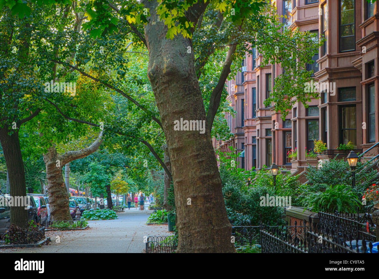 Brownstone Reihenhäuser im Stadtteil Park Slope in Brooklyn, New York Stockfoto