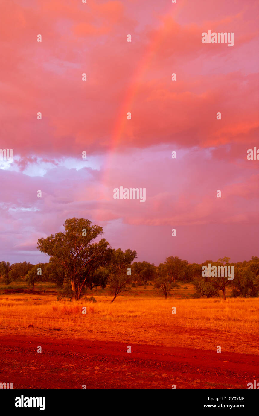 Regenbogen über Stand der Eukalyptus-Bäume bei Sonnenuntergang in abgelegenen ländlichen Queensland-Australien Stockfoto