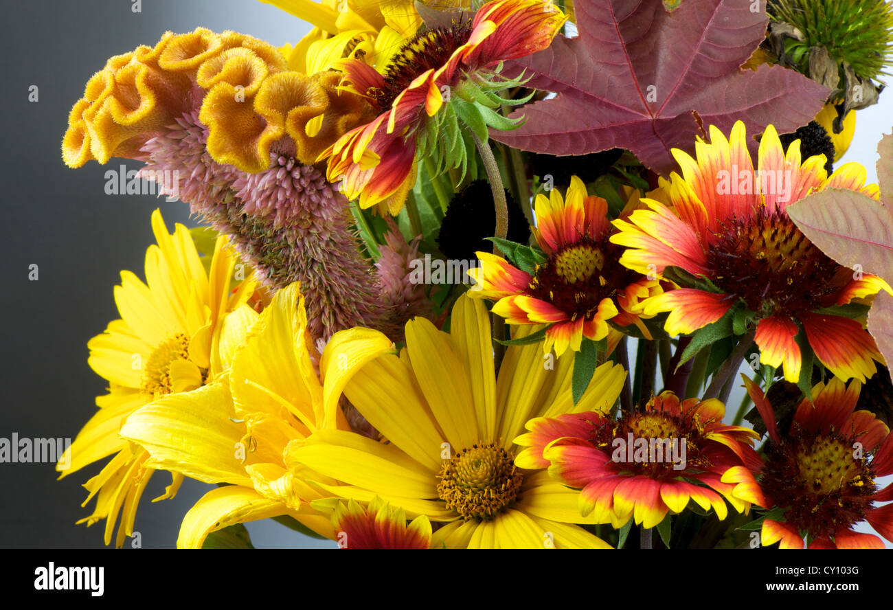 Schuss von Herbst Bouquet mit verschiedenen blühenden Blumen hautnah Stockfoto