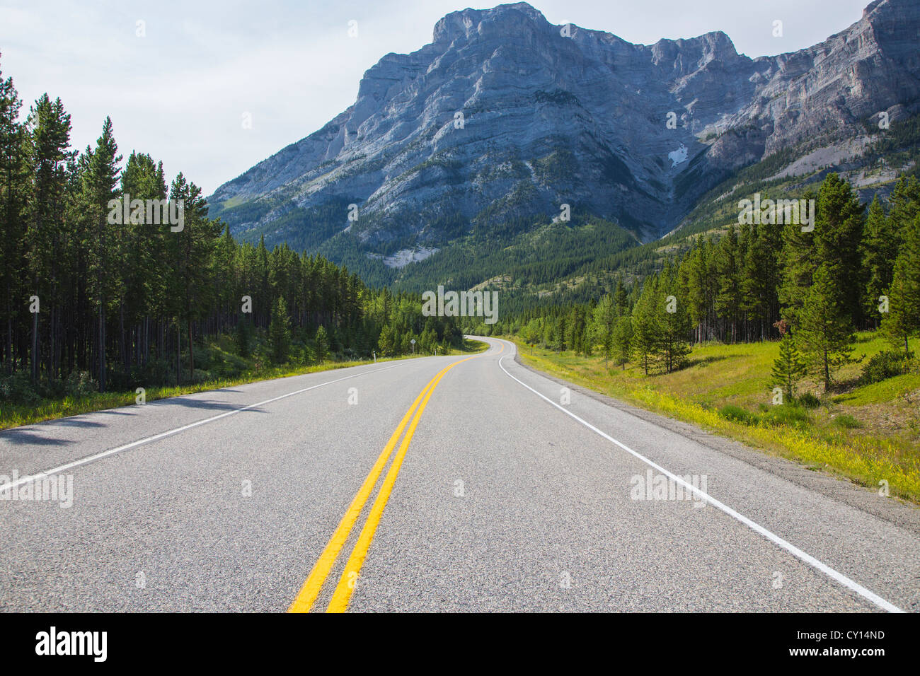 Route 40 auch bekannt als Kananaskis Trail Teil des Bighorn Highway in Alberta, Kanada Stockfoto