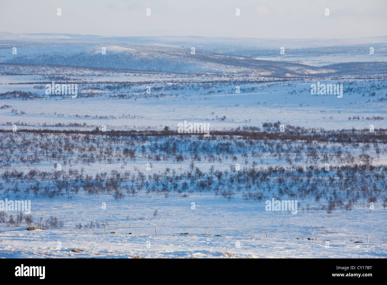 Landschaft von Nord-Finnland Stockfoto