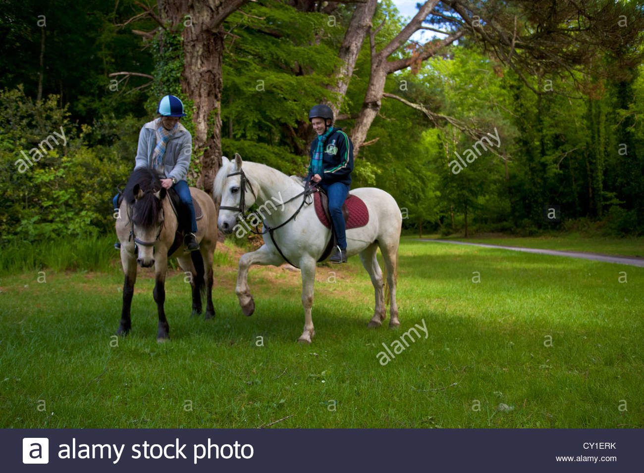 Connemara Ponys sind sagenhaft um an Land gekommen, spanische Armada Wracks Stockfoto