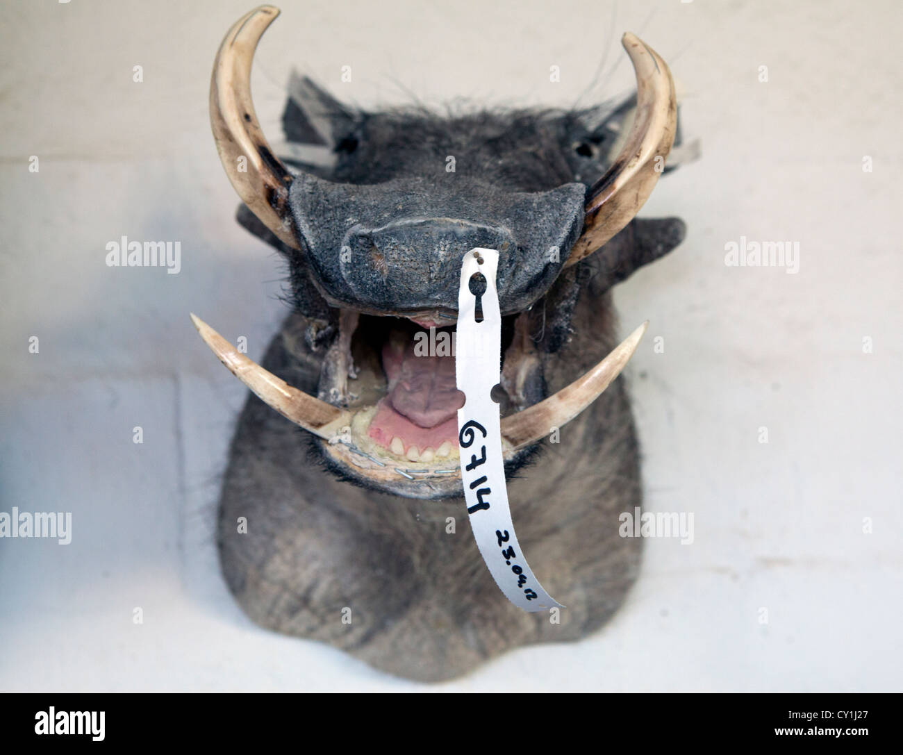 Art Stuff Stockfotos Und Bilder Kaufen Alamy