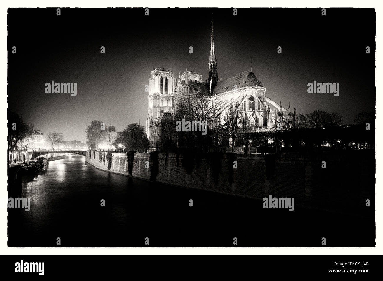 Notre Dame, Paris, Frankreich in der Nacht Stockfoto