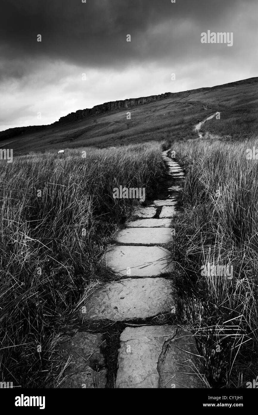 Einen Stein Weg ab in die Ferne auf Moorland im Winter. Haken, Auto, Peak District, Derbyshire, England Stockfoto