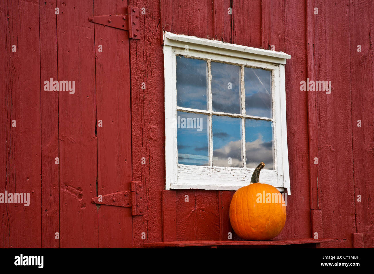 Nahaufnahme eines Herbstgarten-Kürbisses und einer alten roten Scheune vor der Tür Herbst-Fensterbank in Monroe Township, New Jersey Farm, USA Ausstellung Stockfoto