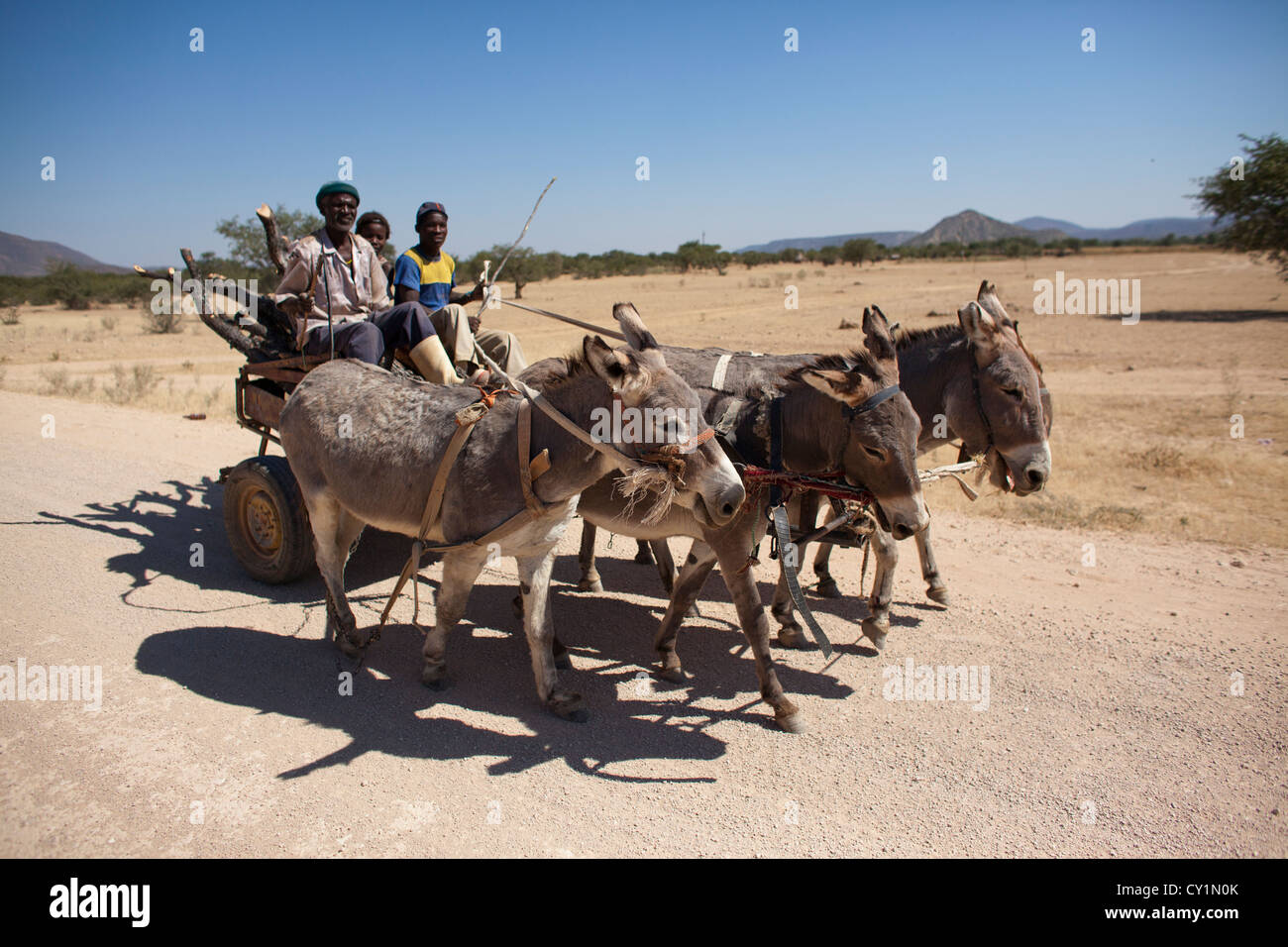 Eselskarren in Namibia Stockfoto