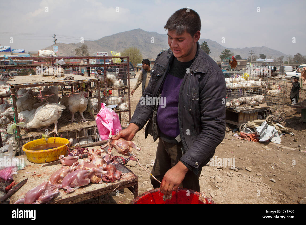 Huhn Vertrieb Mann in Kabul, afghanistan Stockfoto
