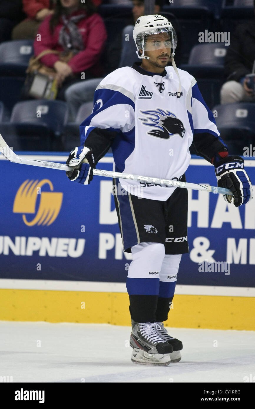 QMJHL (LHJMQ) Hockey Profilfoto auf Saint John Sea Dogs Devon Oliver-wagt Stockfoto