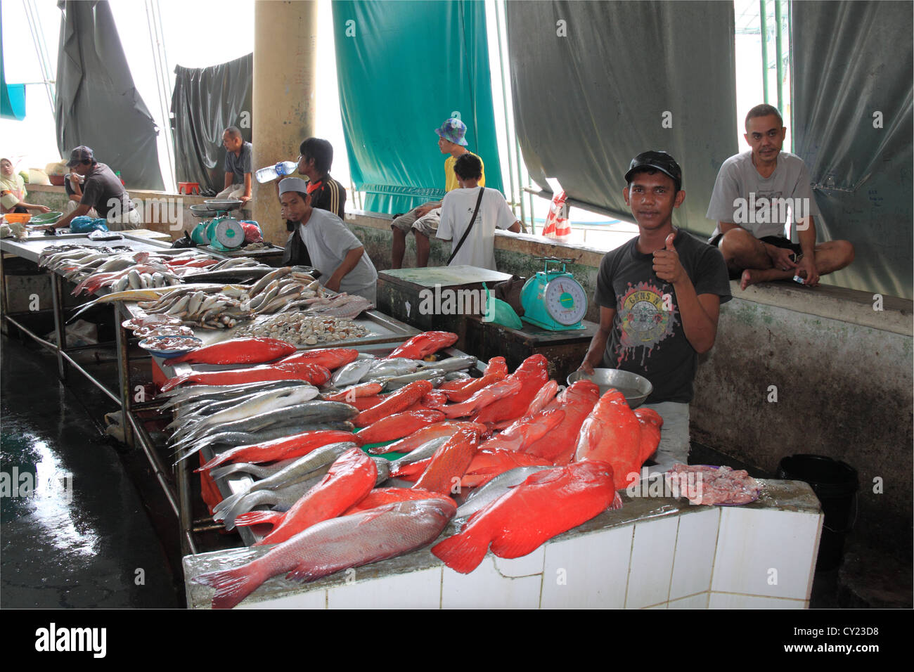 Asiatische Red Snapper fisch Verkäufer im Central Market, Waterfront Sandakan, Sabah, Borneo, Malaysia, Südostasien Stockfoto