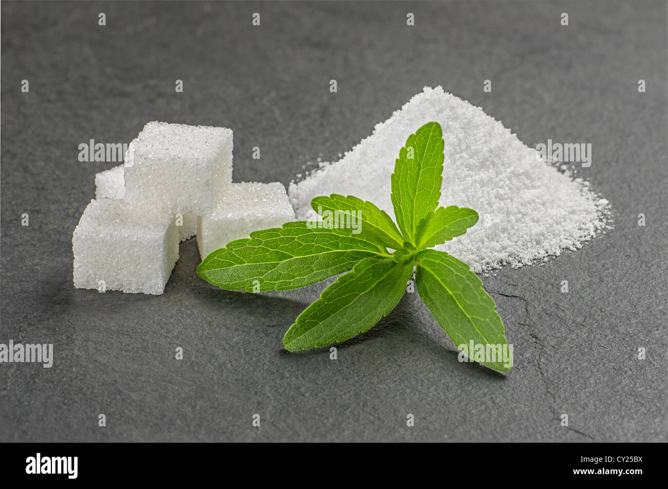 Stevia-Blätter mit Stevia-Pulver und Zucker Würfel auf einer Schiefertafel Platte Stockfoto