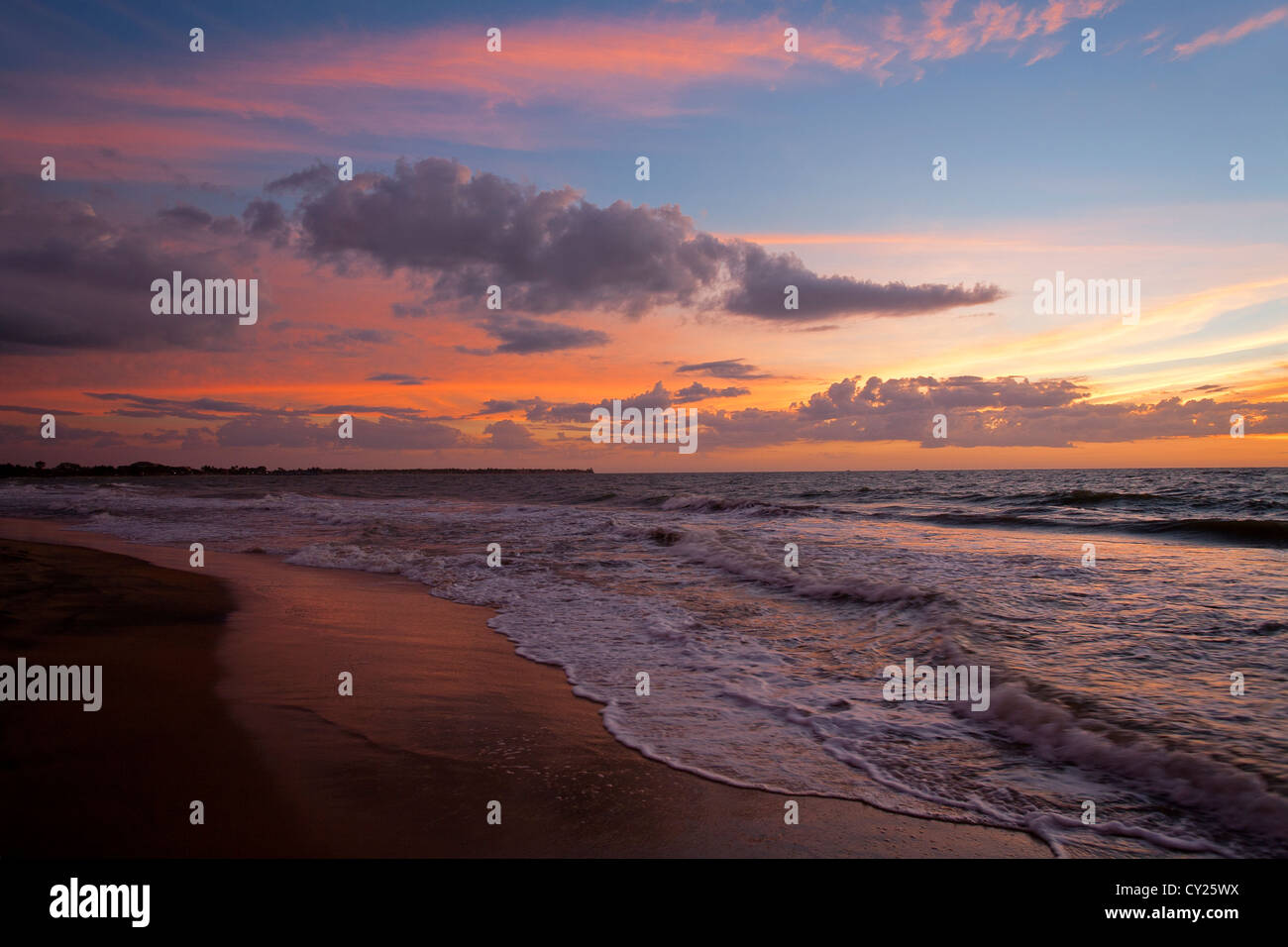 Negombo Strand. Sri Lanka. Stockfoto