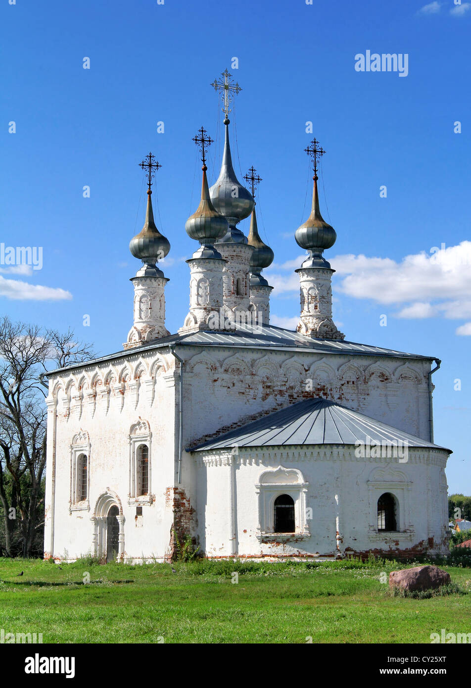 Kirche von den triumphalen Einzug Jesu in Jerusalem, Wladimir, Russland Stockfoto