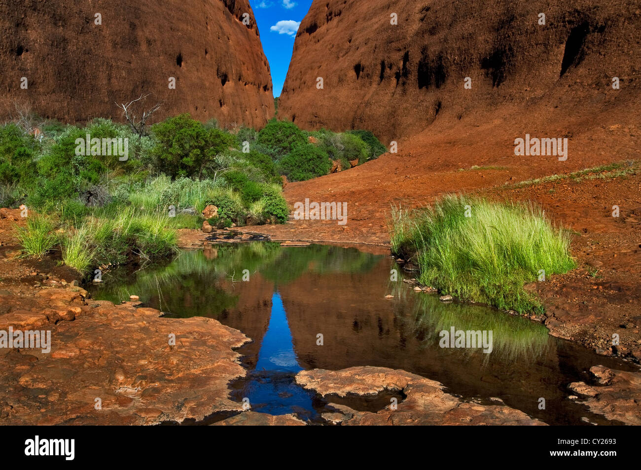 Rock Wände Walpa Gorge zu reflektieren, in einem kleinen Teich. Stockfoto