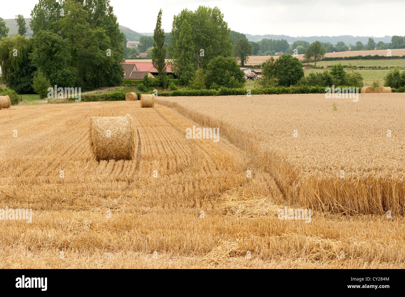 Halb geernteten Weizen Feld Licques Frankreich Europa Stockfoto