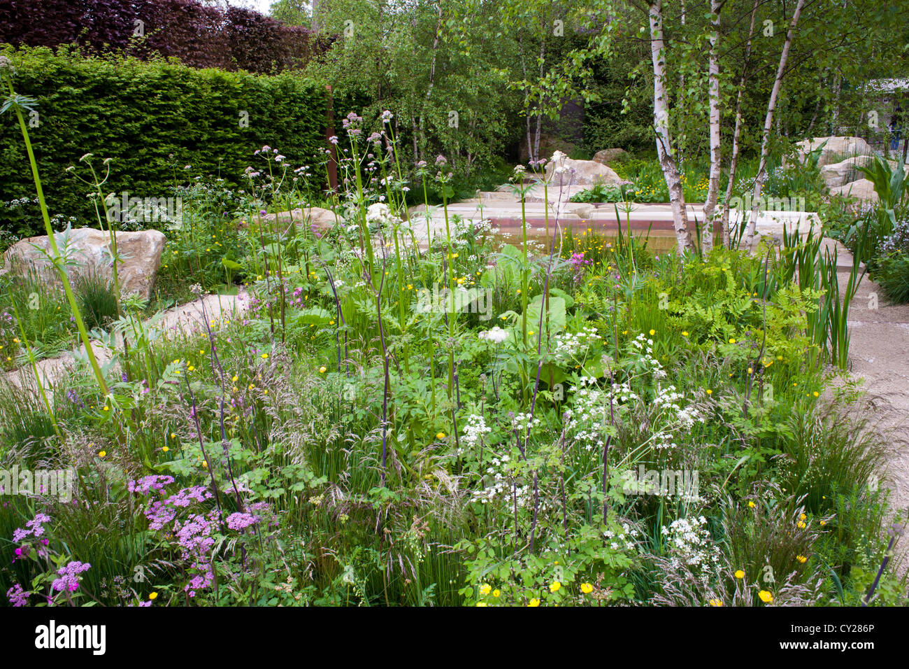 Kombinationsanlage im modernen Garten. Der Telegraph-Garten. Design: Sarah Preis Stockfoto