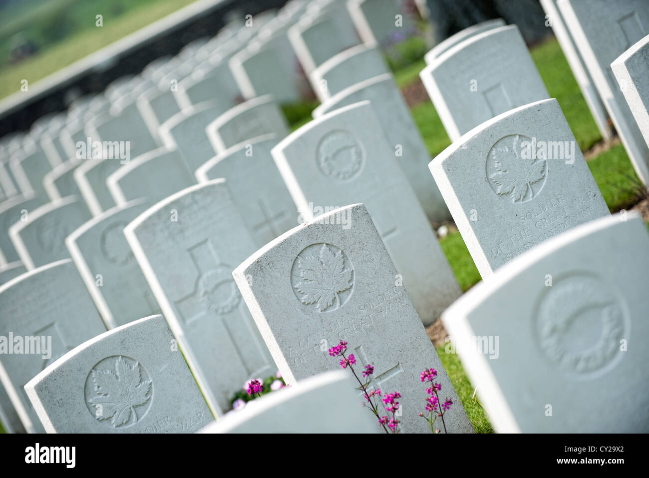 Die Grabsteine der gefallenen Commonwealth-Soldaten am Tyne Cot WW1 Soldatenfriedhof Passchendael, Belgien Stockfoto