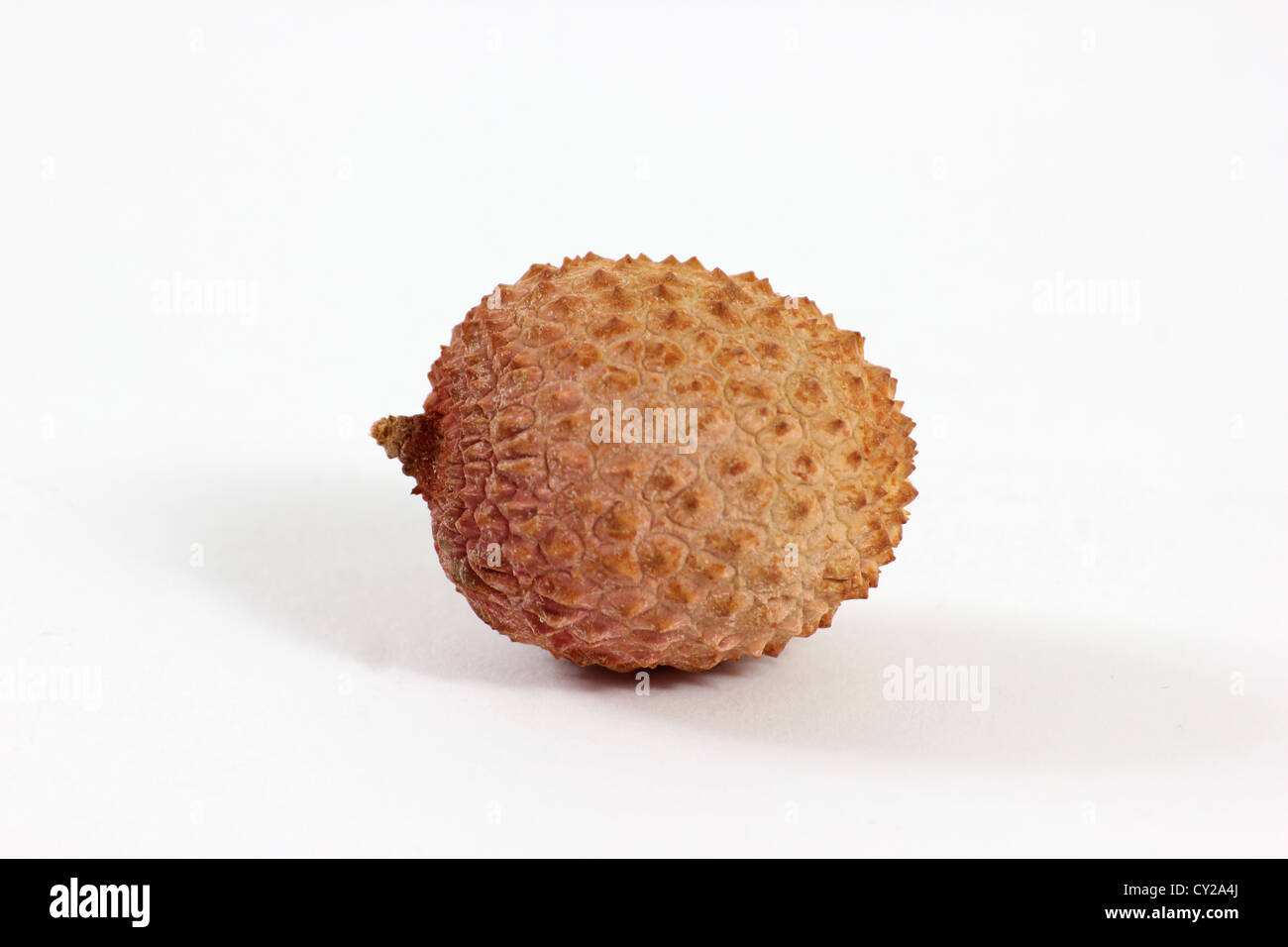 Laugen gegen einen weißen Hintergrund Studio gedreht, Stillleben, Nahaufnahme Blick, Obst, photoarkive Stockfoto