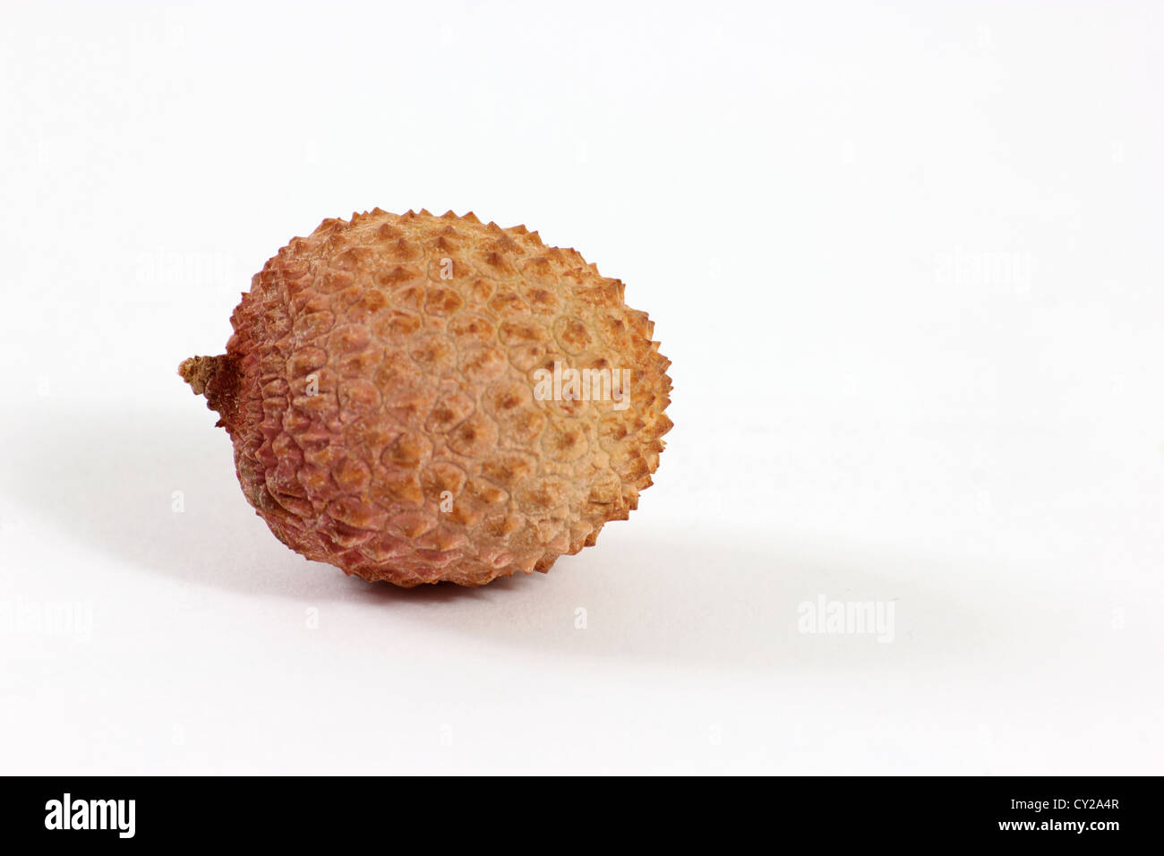 Laugen gegen einen weißen Hintergrund Studio gedreht, Stillleben, Nahaufnahme Blick, Obst, photoarkive Stockfoto