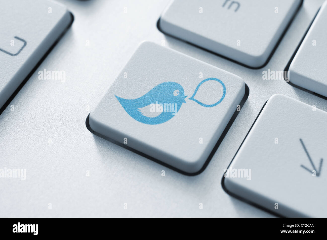 Blauer Vogel mit Sprechblase auf die Schaltfläche "Tastatur". Social-Media-Konzept. Stockfoto
