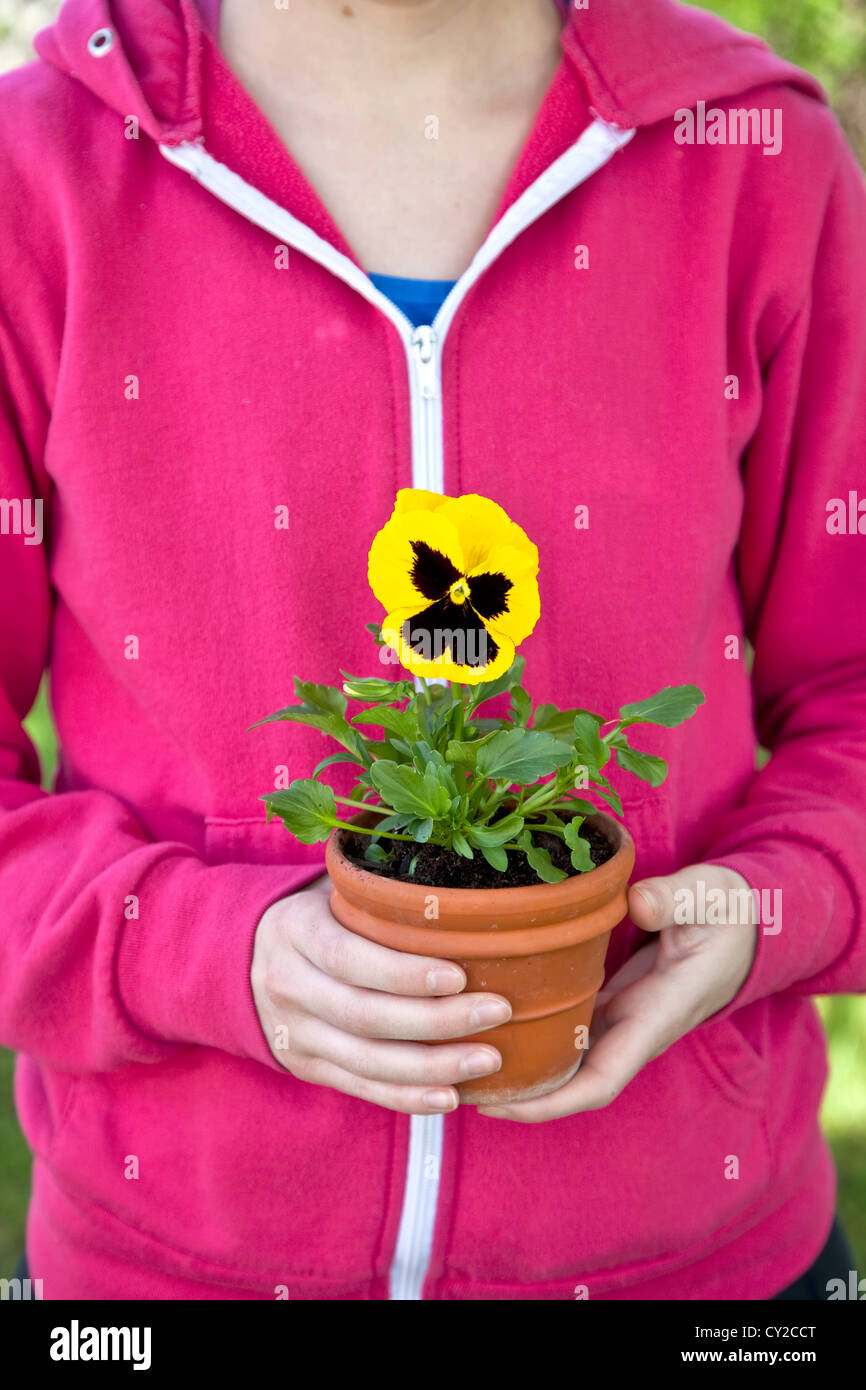 Junge weibliche Gärtner mit Stiefmütterchen, im heimischen Garten zu