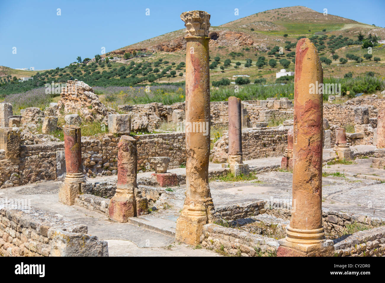 Römische Ruinen von Bulla Regia in der Nähe von Jendouba Tunesien Stockfoto