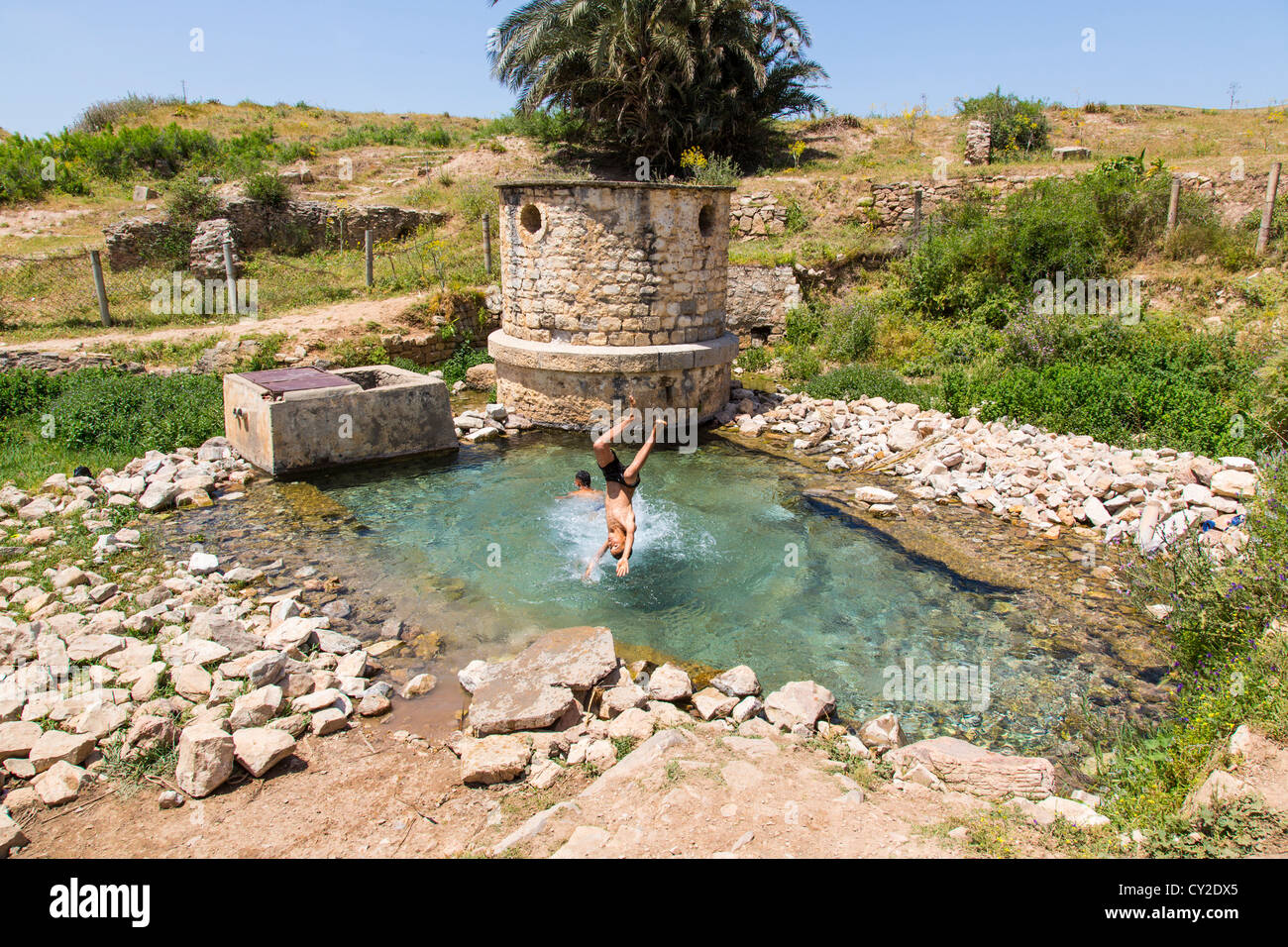 Natürliche Quelle an die römischen Ruinen von Bulla Regia in der Nähe von Jendouba Tunesien Stockfoto
