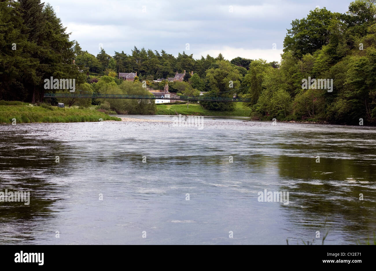 Fliegenfischen Sie in den Fluss Tweed an St Boswell nahe Melrose schottischen Grenzen Schottland Stockfoto