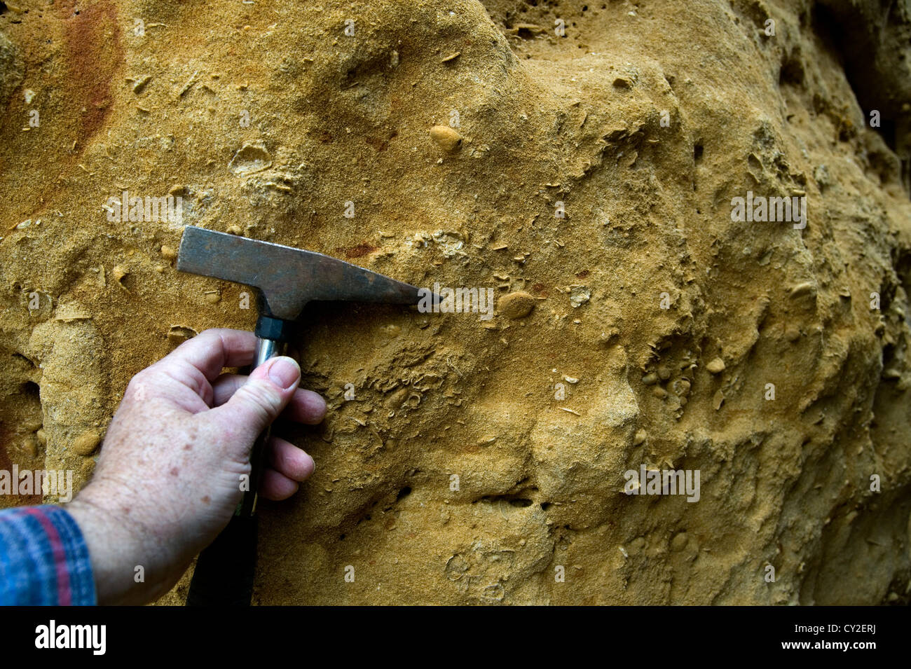 fossile Ablagerung Shell Hill South Australia Stockfoto