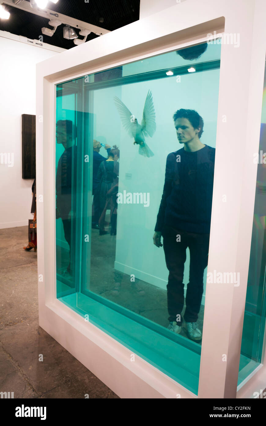 Paris, Frankreich, Europa, ein kaukasischer Beobachter neben White Cube von Damien Hirst auf der Fiac 2012 Stockfoto