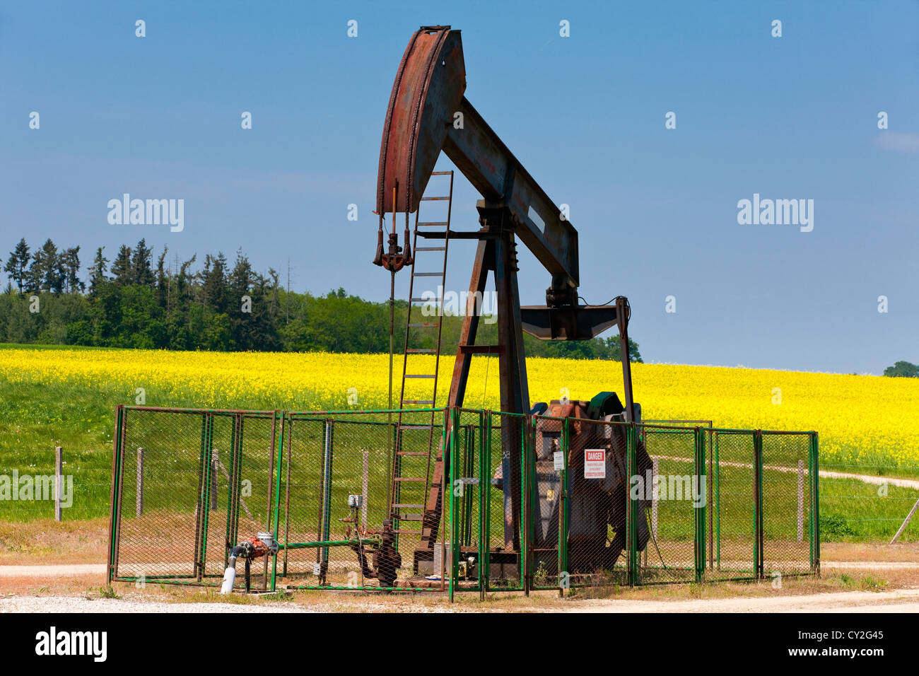 Ölquelle, Bohrschwengels in Raps (Raps) Feld, Loiret, Frankreich Stockfoto