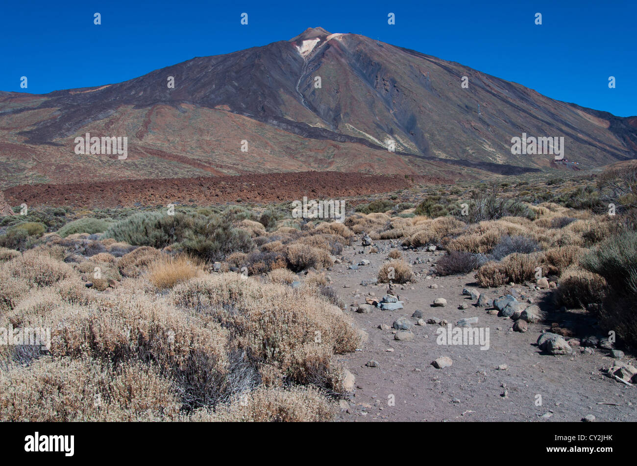 Teneriffa Teide Vulkan ariden Park national rock Stockfoto