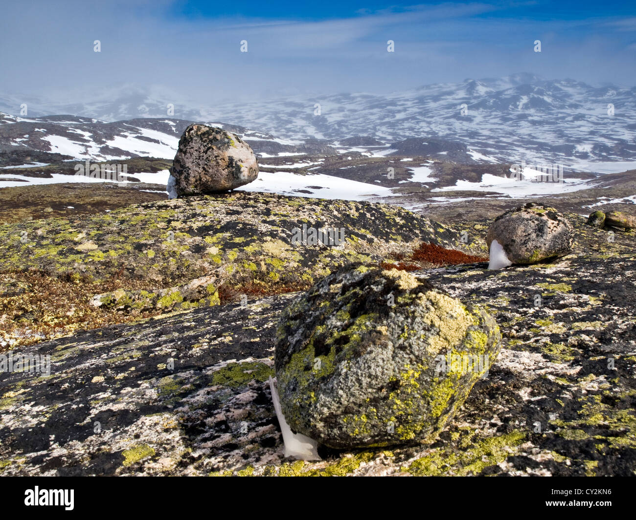 Frühling kommt früh zum Hardanger Plateau Norwegen Stockfoto