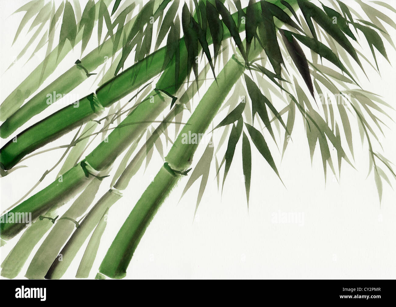 Original-Kunst, Aquarell von Bambus, asiatischen Stil, Malerei  Stockfotografie - Alamy