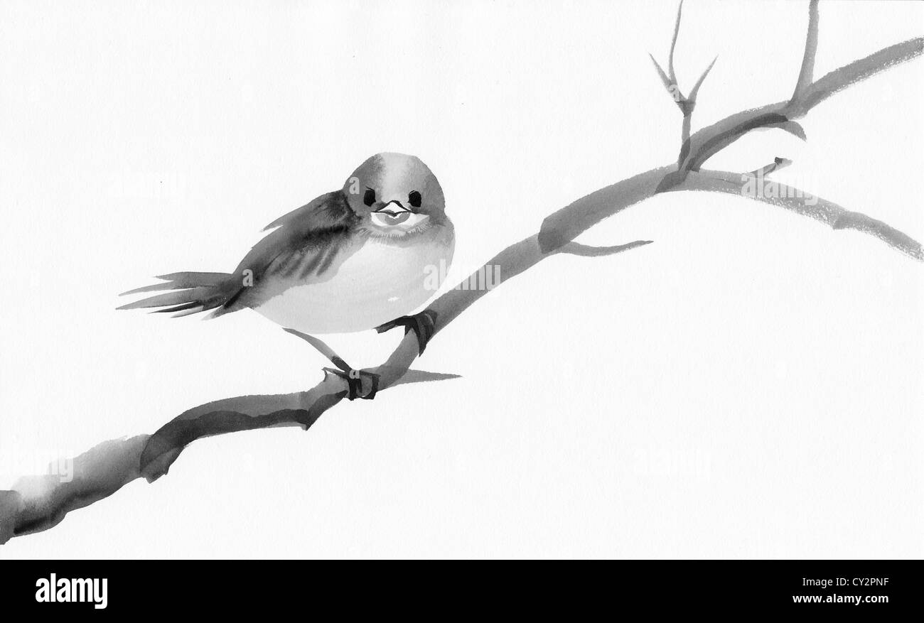 Aquarell von einem Vogel auf einem Ast Stockfoto