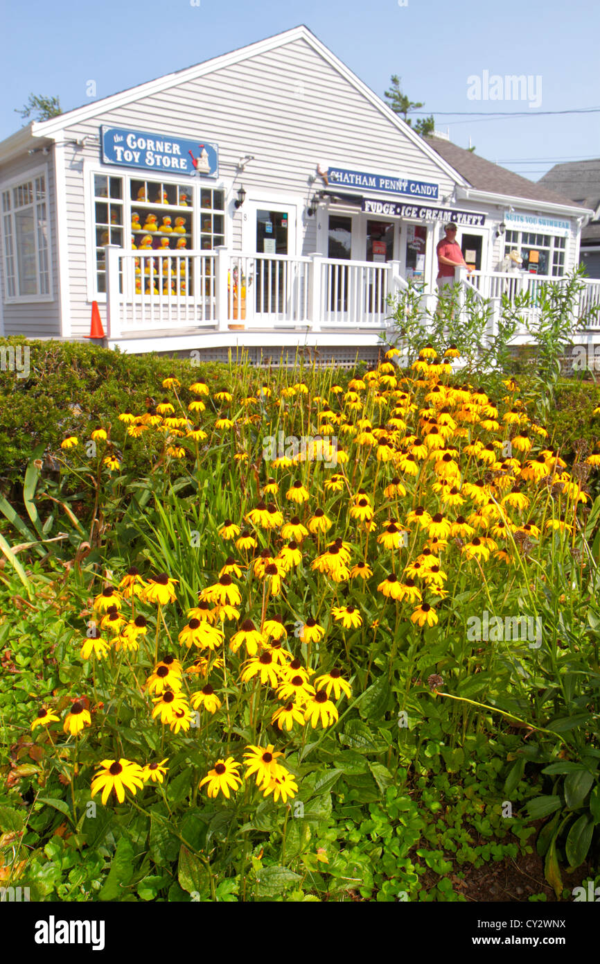 Cape Cod Massachusetts, Chatham, Main Street, Geschäft, Geschäfte, Unternehmen, Bezirk, Shopping Shopper Shopper shoppen Geschäfte Markt Märkte Marktplatz kaufen sel Stockfoto