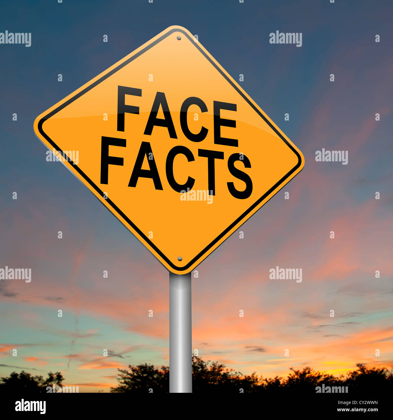 Face Facts. Stockfoto