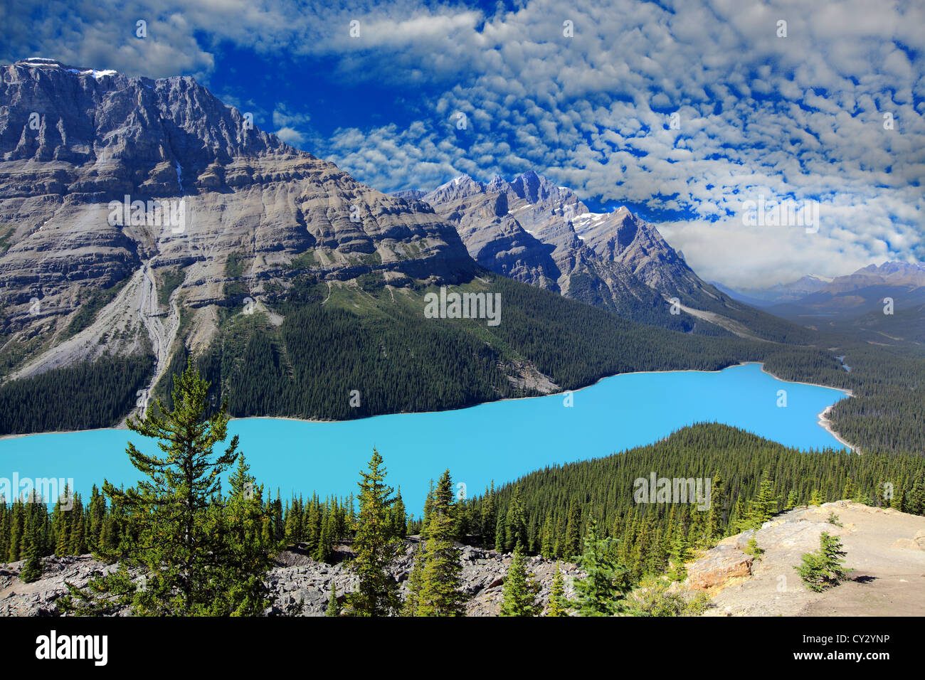 Peyto Lake Alberta Kanada Banff National Park Stockfoto