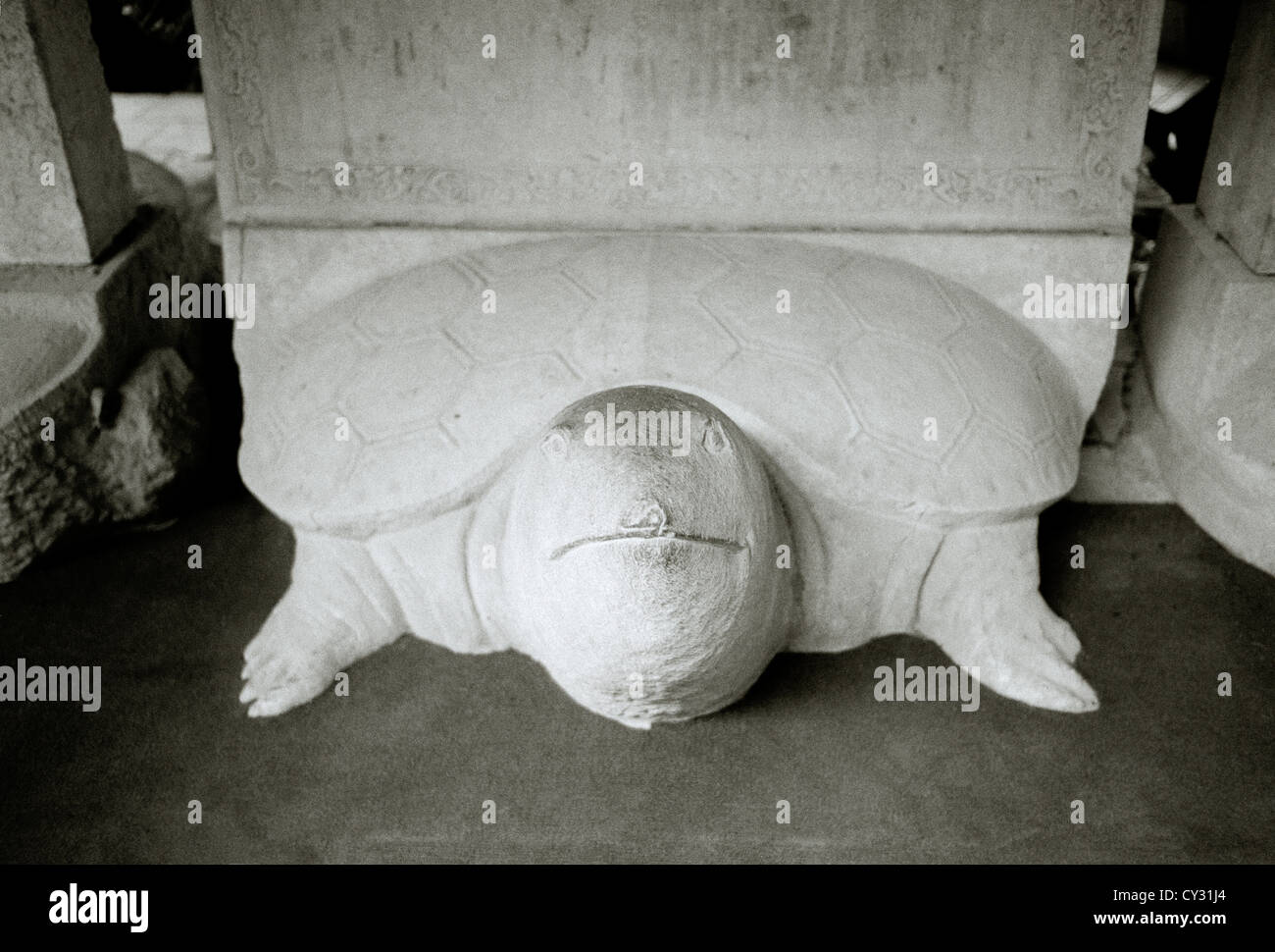 Turtle Skulptur in den Tempel der Literatur in Hanoi in Vietnam in Fernost Südostasien. Geschichte Statue historische Kultur Kunst Antike Reisen Stockfoto