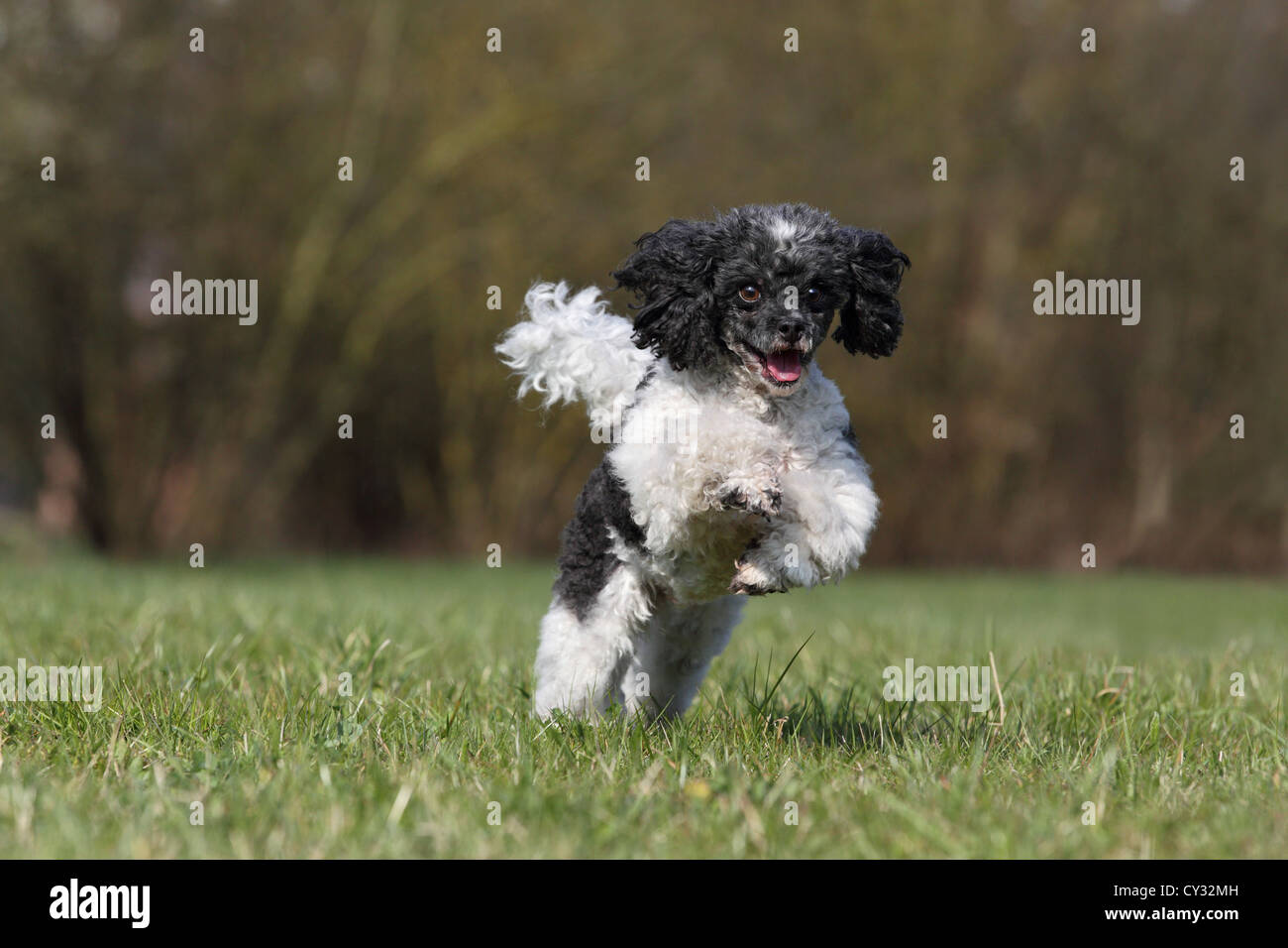W toy -Fotos und -Bildmaterial in hoher Auflösung – Alamy