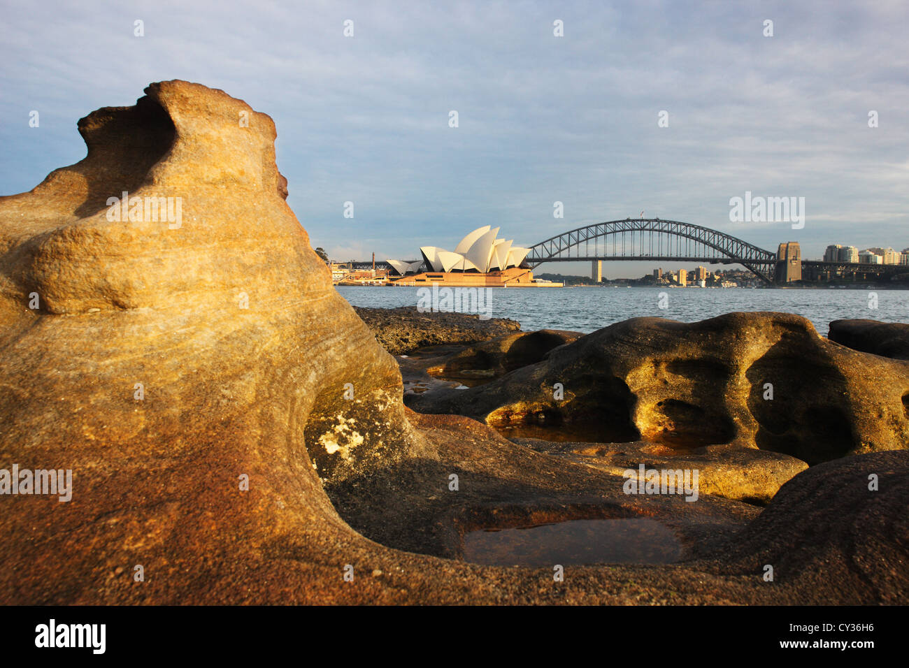 Sydney Harbour View von Mrs Macquaries Point, Harbour Bridge und das Opernhaus von Sydney zeigen Stockfoto
