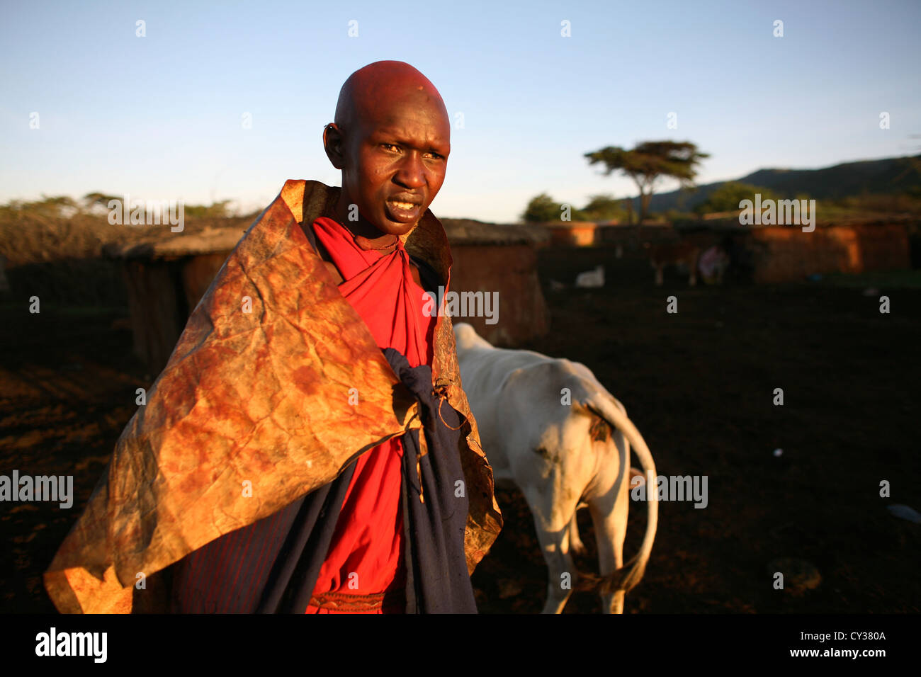 Massai-Stamm in Kenia Stockfoto